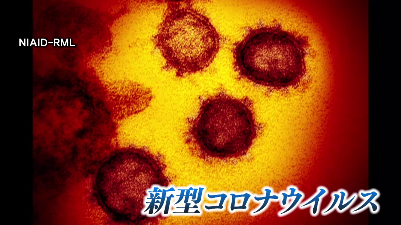 【“新型コロナウイルス”ＰＣＲ検査の現状と部位別の症状】